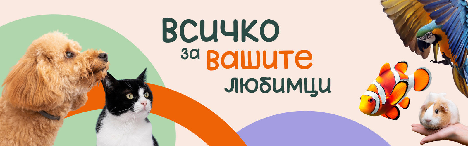 Първи стъпки с новия домашен любимец: Комплексен наръчник за отговорни собственици