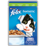 FELIX Fantastic пауч грил в желе 100гр.