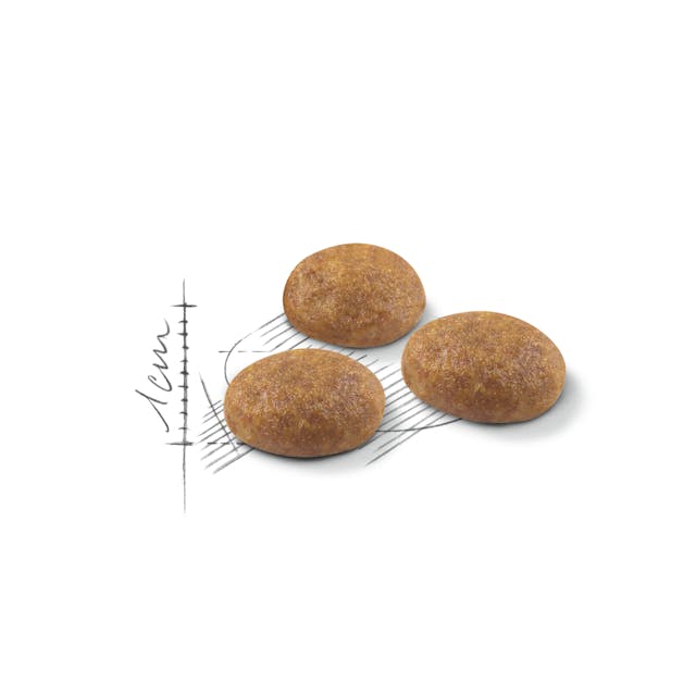 Премиум храна ROYAL CANIN outdoor 30- 10кг
