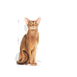 Royal Canin Exigent 35/30 – Специализирана Храна за Взискателни и Капризни Котки