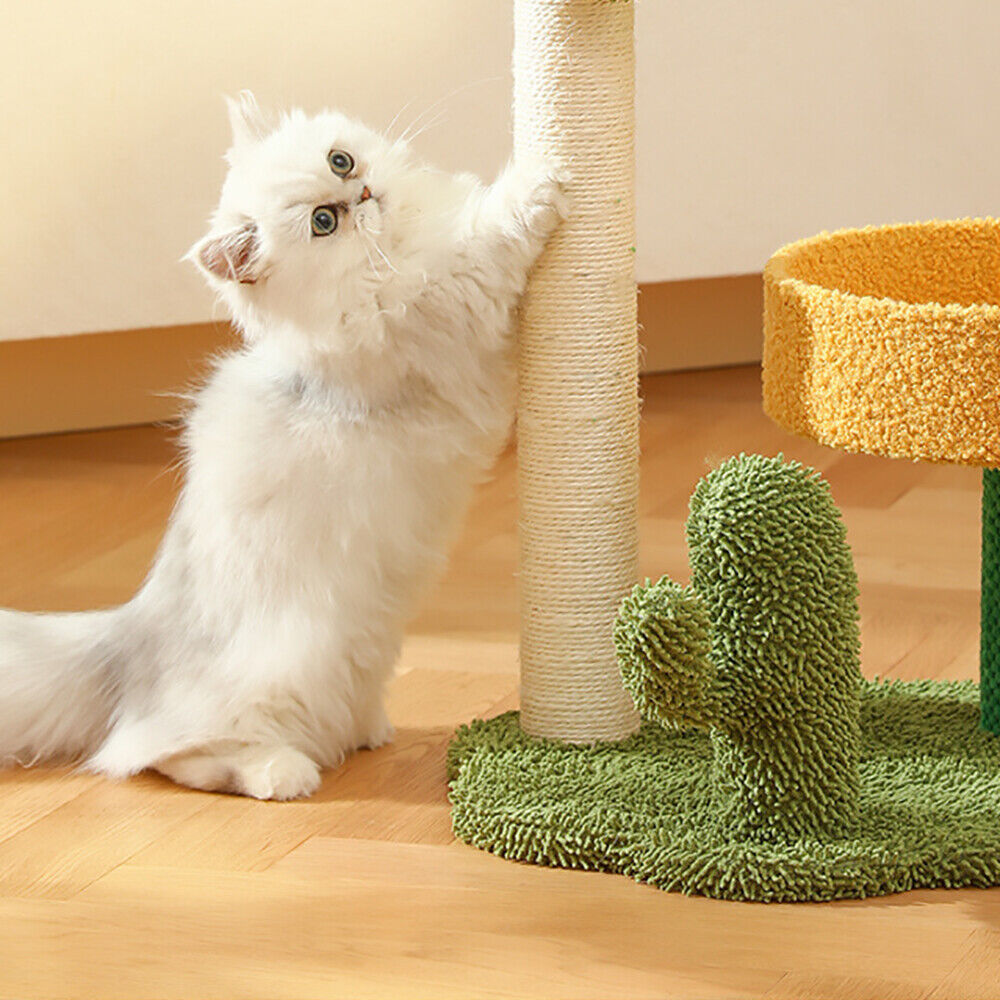 Cat Palm Драскало и легло за котка