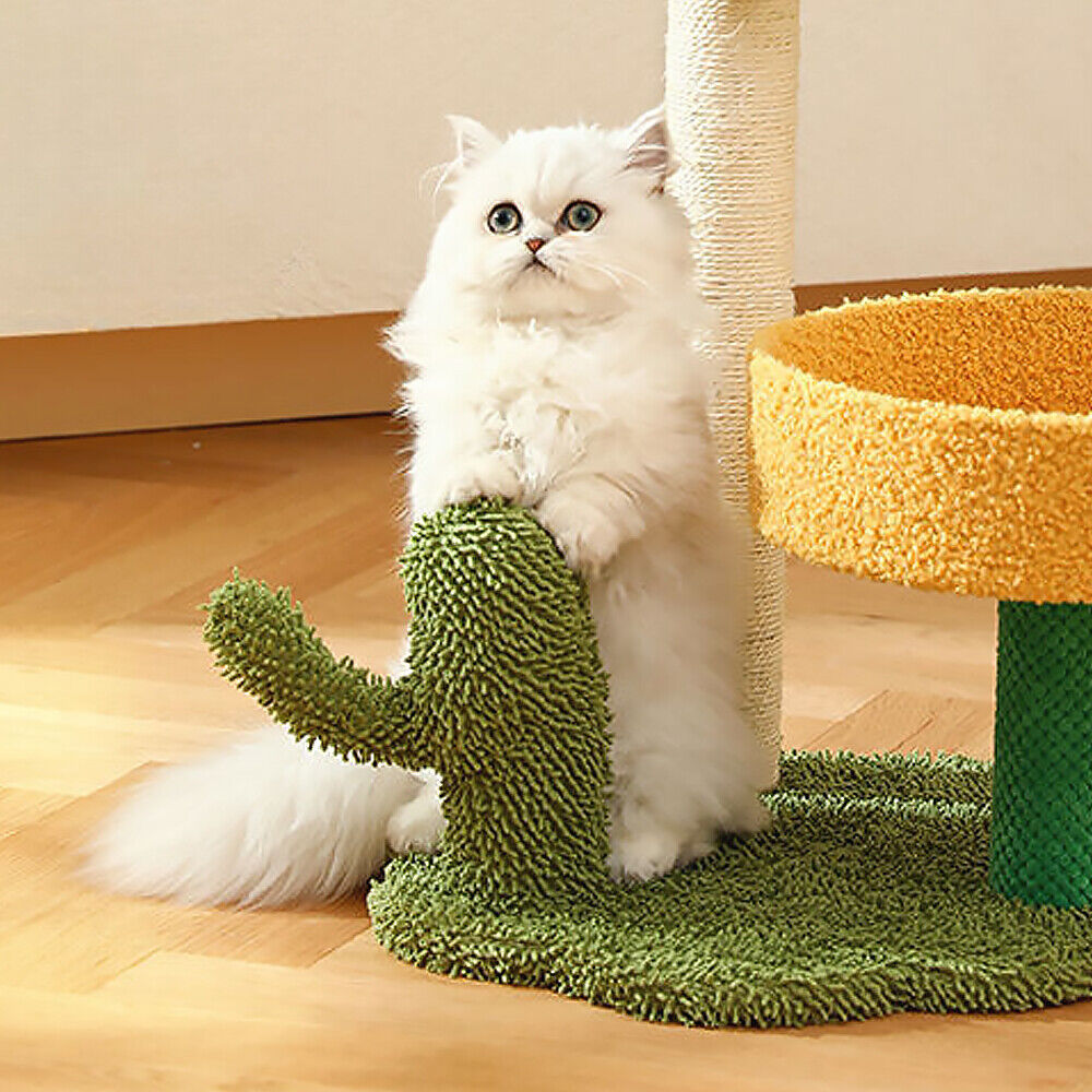 Cat Palm Драскало и легло за котка