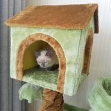 Cat Forest Драскало за коте