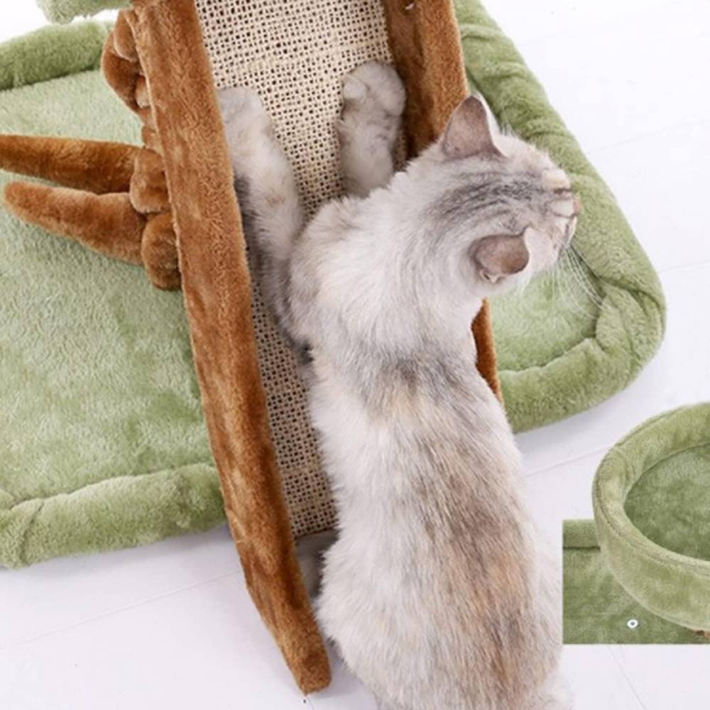 Cat Forest Драскало за коте