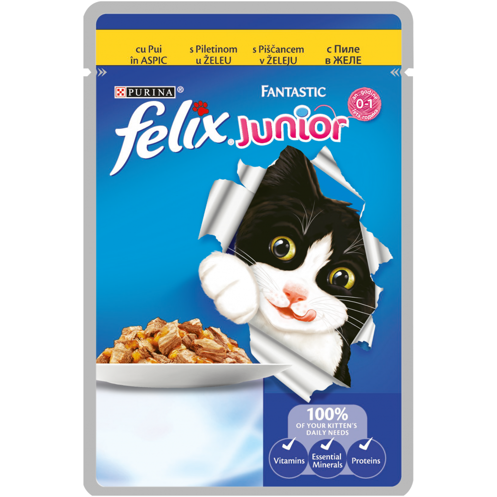 FELIX Fantastic Junior пауч  Пиле 100 гр.