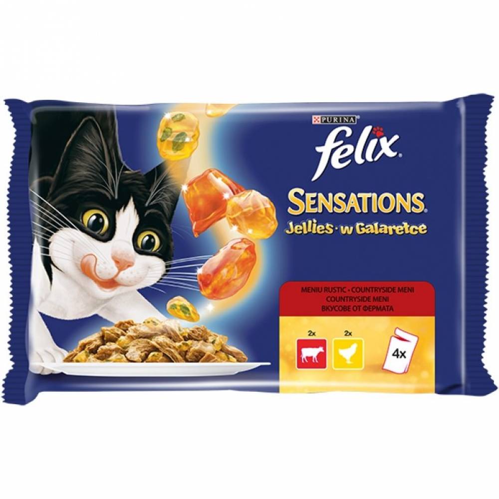 FELIX Sensations пауч вкусове в ароматно желе 4 x 100гр.
