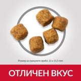 Hills Dog Adult Medium Aгне 14 кг.