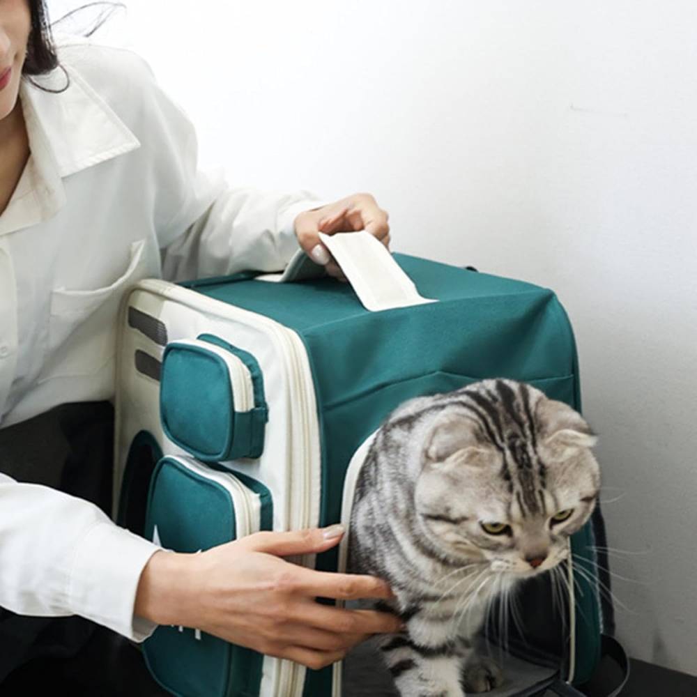 CatBAG Раница за транспорт и разходка на котки