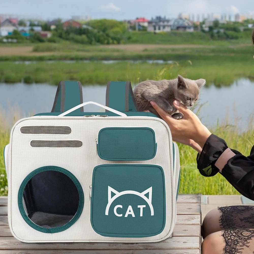 CatBAG Раница за транспорт и разходка на котки