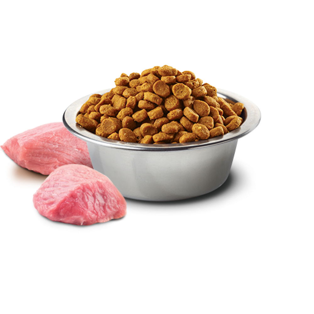 ND Puppy Mini Pumpkin тиква с агнешко и боровинки 7 кг.