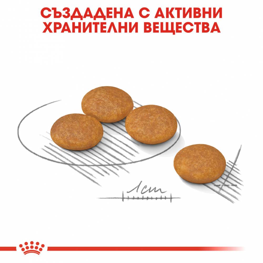 Премиум гранулирана храна ROYAL CANIN  MINI DERMACOMFORT, пакет 1 или 3 килограма.