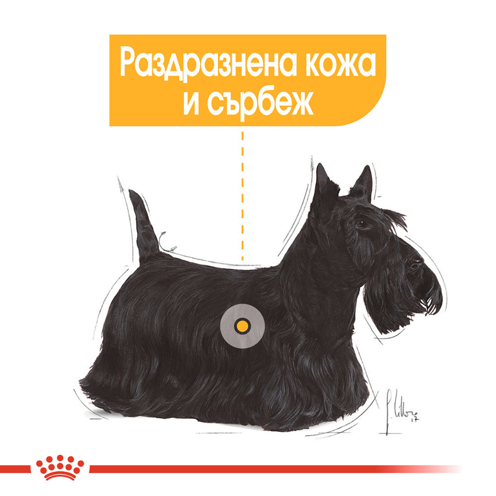 Премиум гранулирана храна ROYAL CANIN  MINI DERMACOMFORT, пакет 1 или 3 килограма.