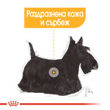Премиум гранулирана храна ROYAL CANIN  MINI DERMACOMFORT, пакет 1 или 3 килограма.