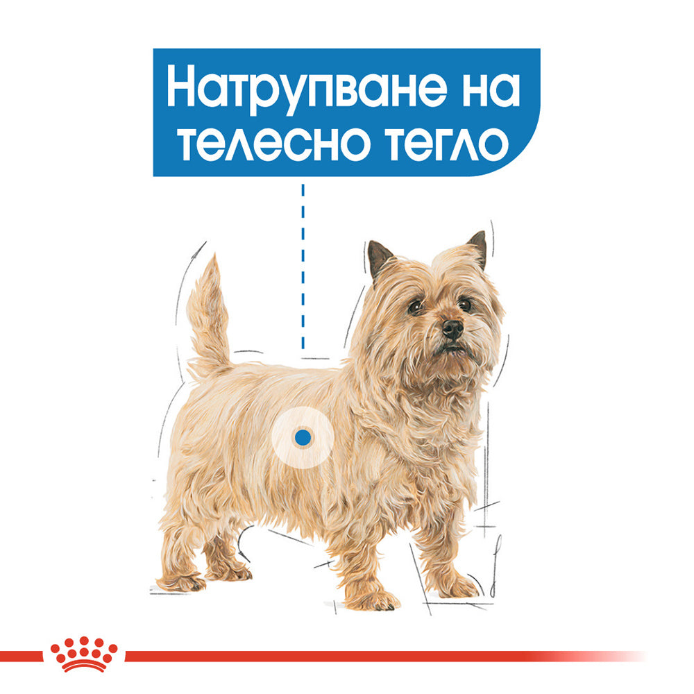 Премиум гранулирана храна ROYAL CANIN MINI LIGHT weight care. Пакет от 1 или 3 килограма.