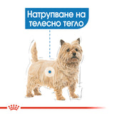 Премиум гранулирана храна ROYAL CANIN MINI LIGHT weight care. Пакет от 1 или 3 килограма.