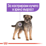 Премиум храна ROYAL CANIN MINI STERILISED, чувал от 8кг.