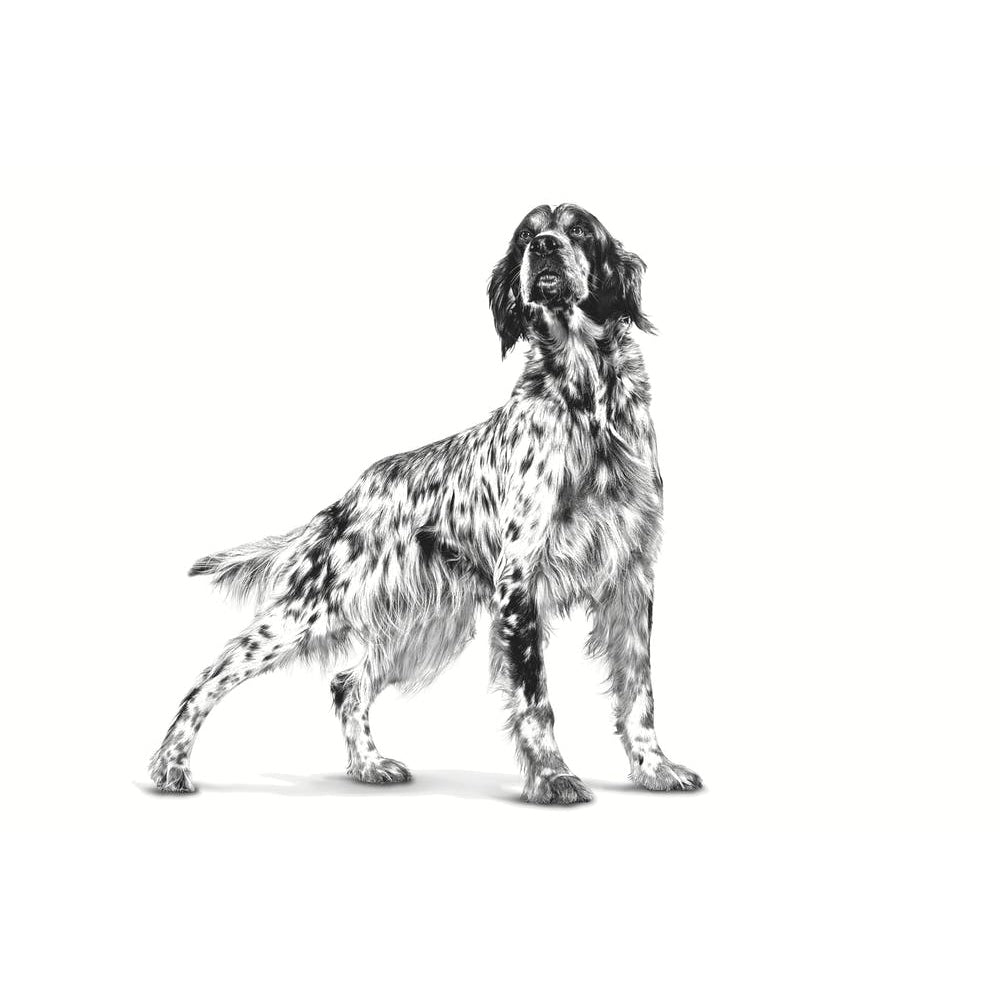 Премиум консервирана храна за кучета Royal Canin Gastrointestinal - 400гр.