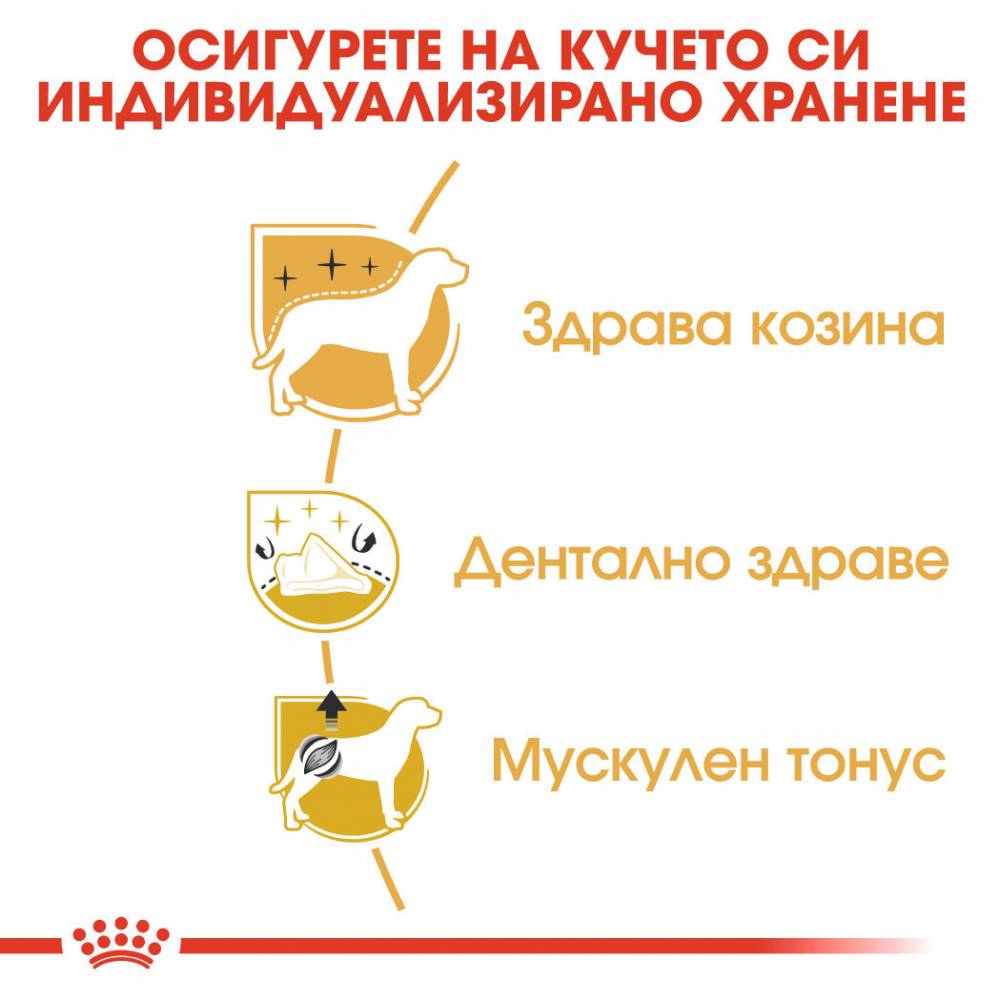 Пълноценна суха храна ROYAL CANIN POODLE ADULT , за пудели в зряла възраст над 10 месеца - 1.5 кг.