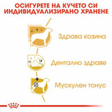 Пълноценна суха храна ROYAL CANIN POODLE ADULT , за пудели в зряла възраст над 10 месеца - 1.5 кг.
