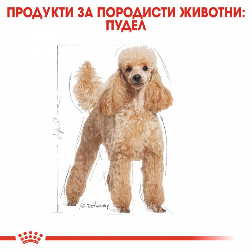 Пълноценна суха храна ROYAL CANIN POODLE ADULT , за пудели в зряла възраст над 10 месеца - 1.5 кг.