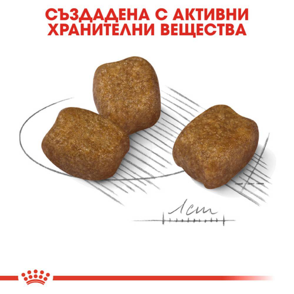 Специализирана храна Royal Canin Mini Dental Care - 1 или 3кг.