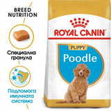 Премиум храна Royal Canin Poodle Puppy за подрастващи пудели - до 10 месеца - 0.5kg
