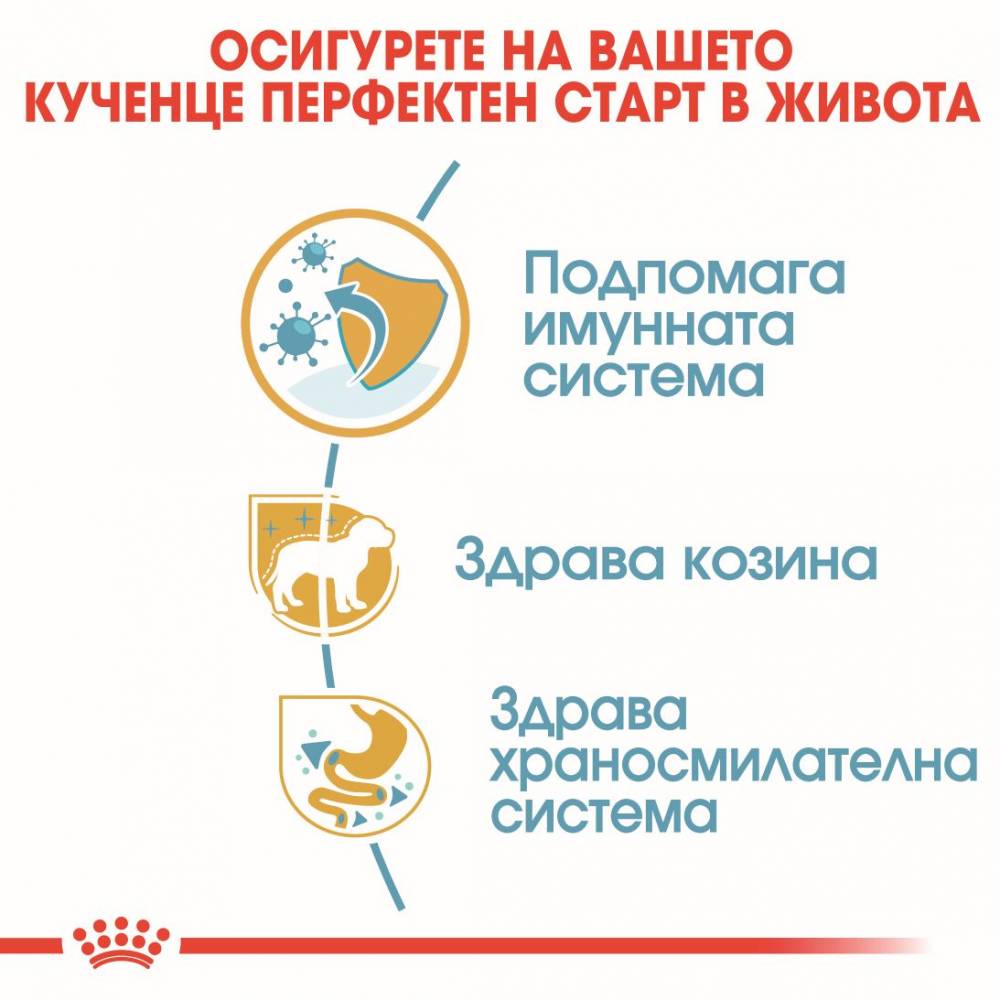 Премиум храна Royal Canin Poodle Puppy за подрастващи пудели - до 10 месеца - 0.5kg