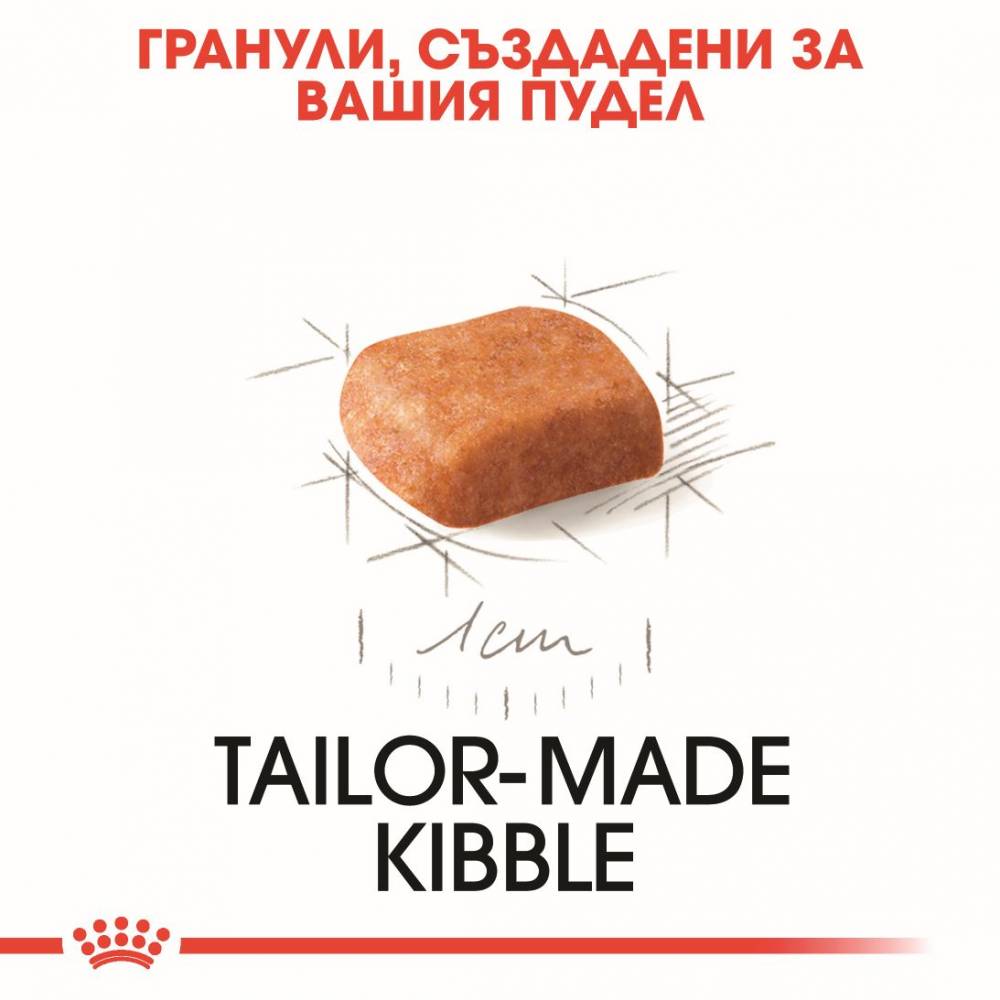 Премиум храна Royal Canin Poodle Puppy за подрастващи пудели - до 10 месеца - 0.5kg