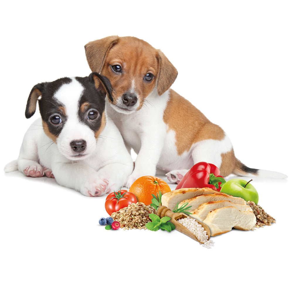 Премиум храна за кучета SELECT MINI PUPPY с вкус на пиле и ориз - 10кг.