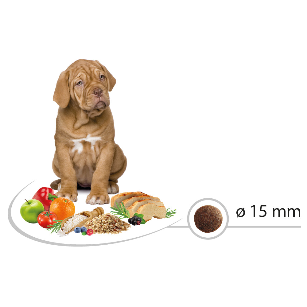 Премиум храна за кучета SELECT PUPPY MAXI с вкус на пиле и ориз - 12кг.