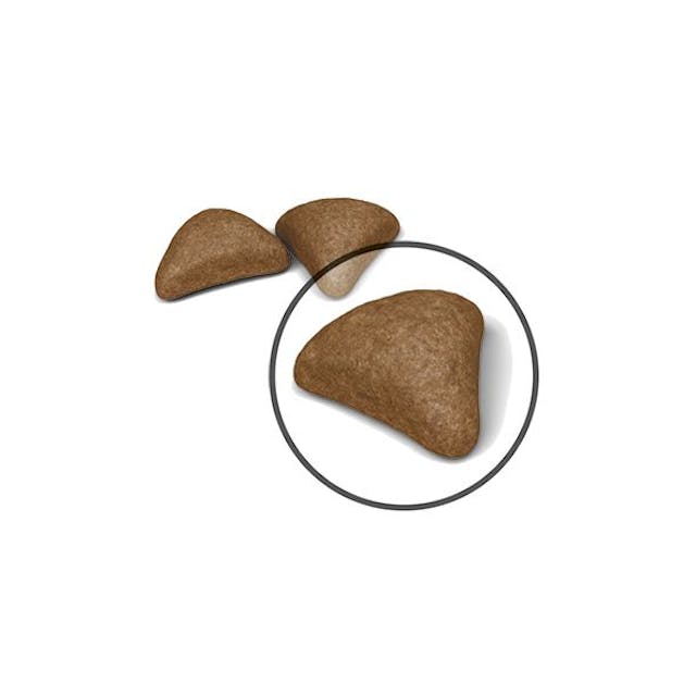Премиум храна за котки Royal Canin Hairball care 34-10кг