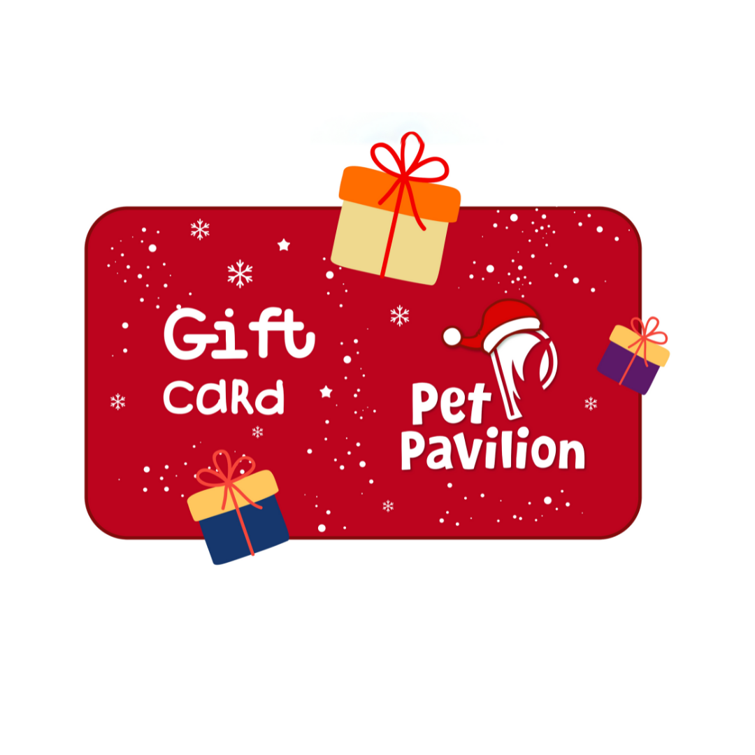Коледна Gift карта