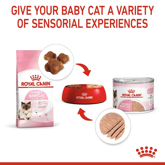 Премиум консерва за котки, ROYAL CANIN - Mother & Babycat Ultra Soft Mousse 195 гр