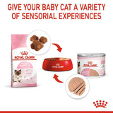 Премиум консерва за котки, ROYAL CANIN - Mother & Babycat Ultra Soft Mousse 195 гр