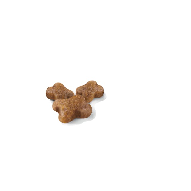 Премиум храна за подрастващи котки Royal Canin Kitten 36