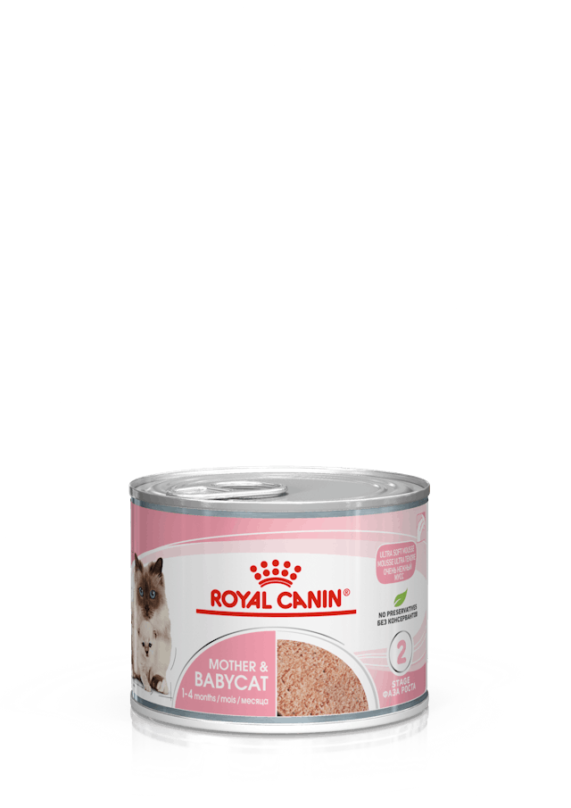 Премиум консерва за котки, ROYAL CANIN - Mother & Babycat Ultra Soft Mousse 195 гр